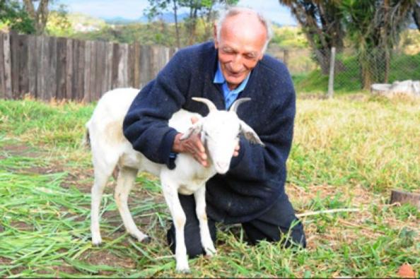Un hombre se casa con su cabra en Brasil 7147937626783378_1